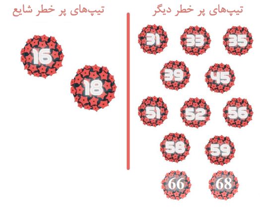 شیوع ویروس پاپیلوما انسانی (HPV) در زنان و مردان در جوامع مختلف